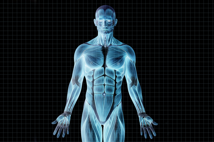 Muscle Balancing