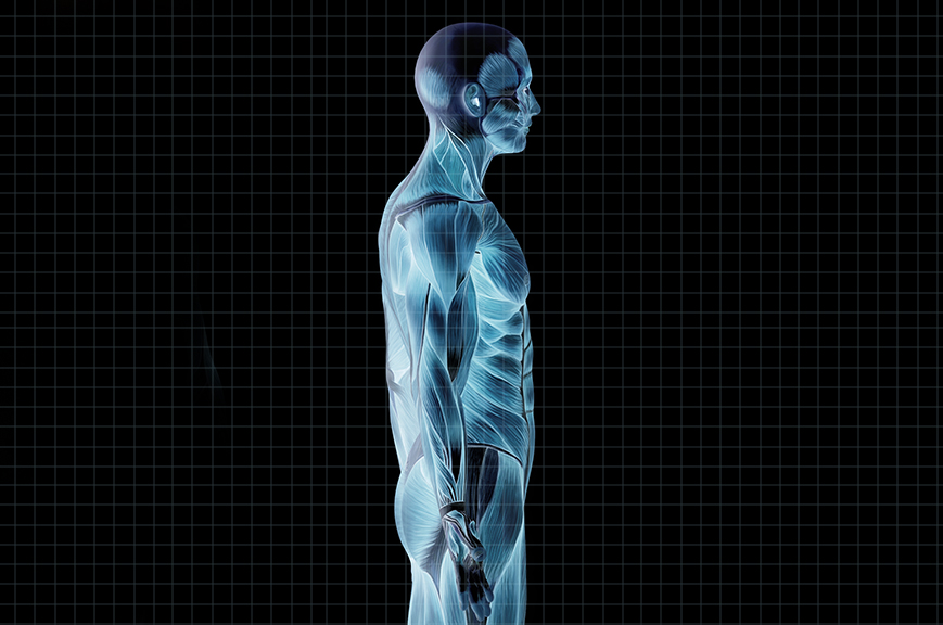 Cranial Balancing
